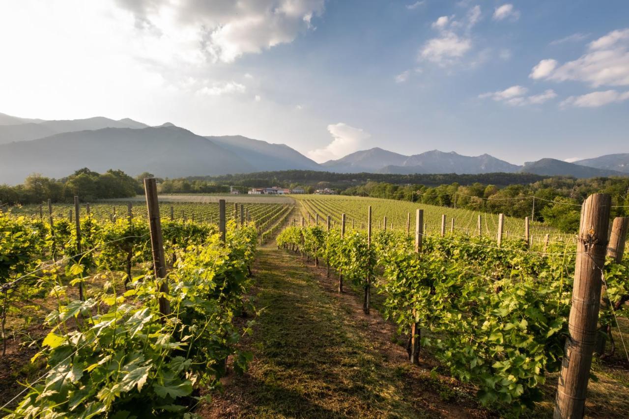 Agriturismo Al Col Фоллина Экстерьер фото